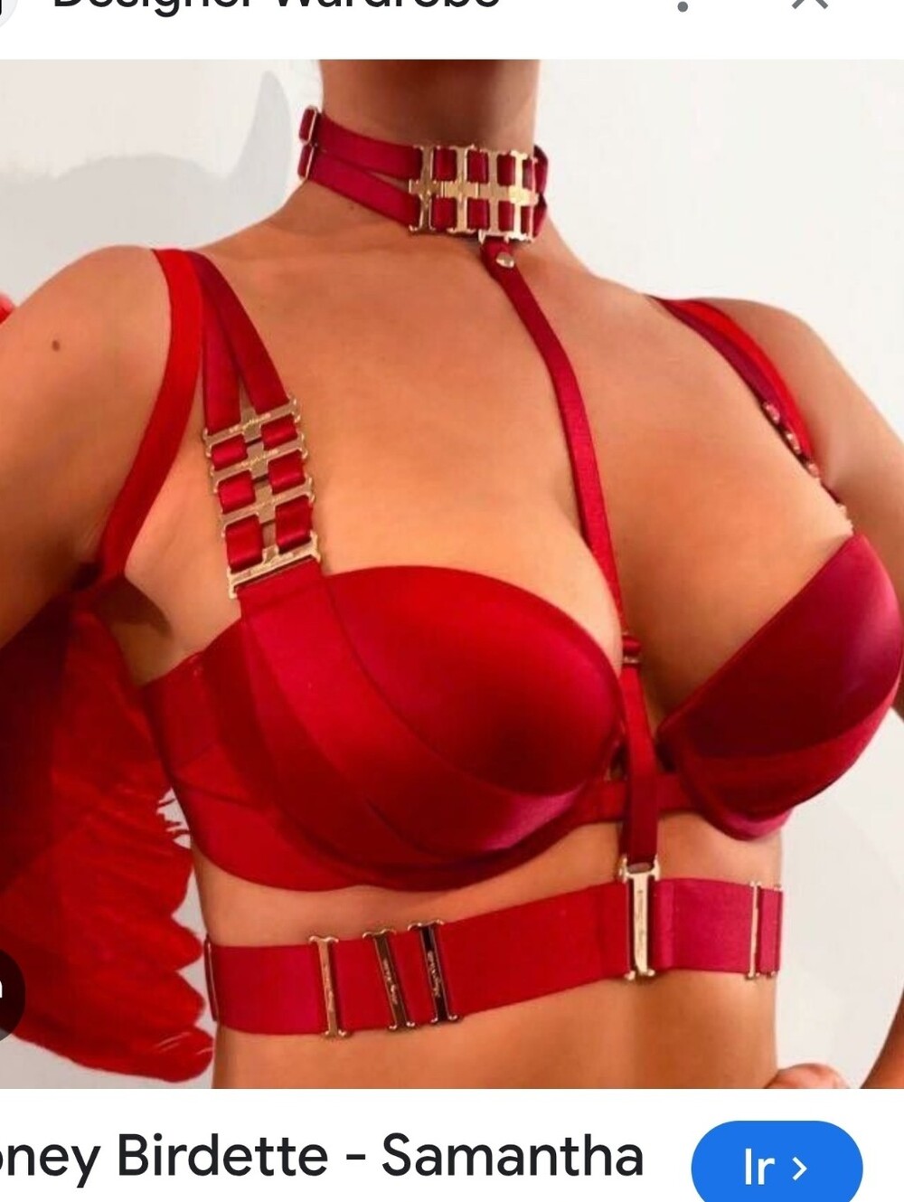Honey Birdette Red Satin  Bra with Gold Hardware its Use Good Condition  Rare